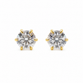 6 Claw Earrings
