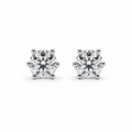 6 Prong Earrings