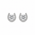 Horseshoe Earrings