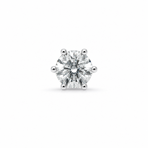 6 Prong Earrings
